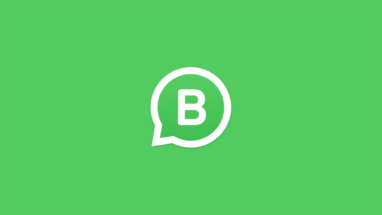 WhatsApp Business, masaüstü ve web sürümünü yayına aldı